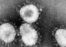 Curiosidades del Coronavirus
